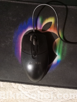 Keyboard & mouse